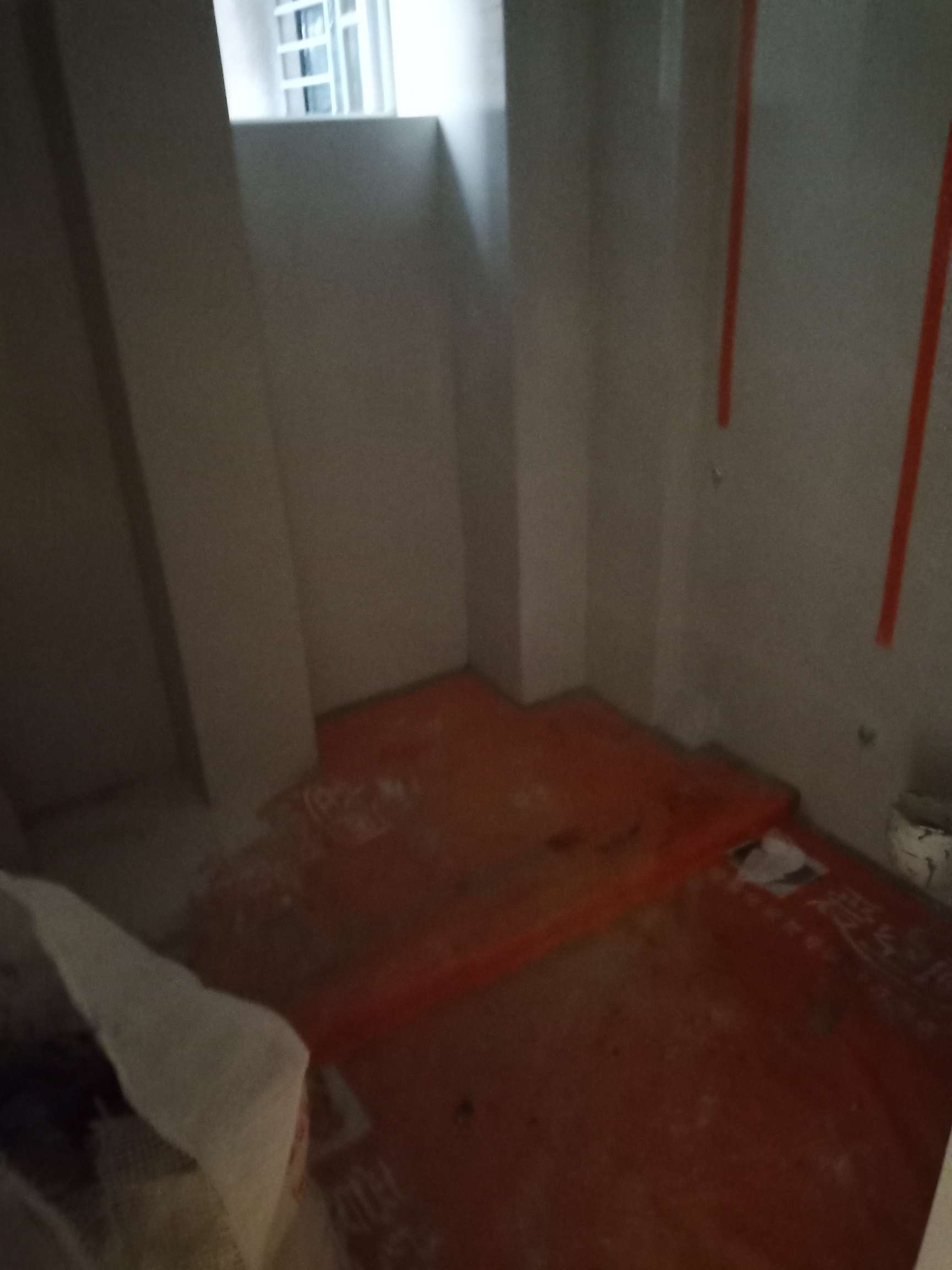 播报图片